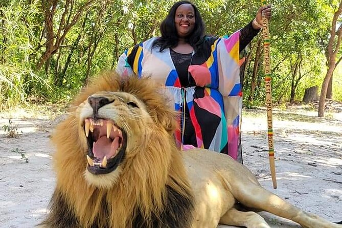 Figure 5: Senegal provides wildlife experiences that will thrill any Safari enthusiast